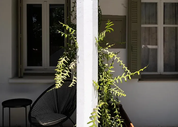 Mv Living - Ханья